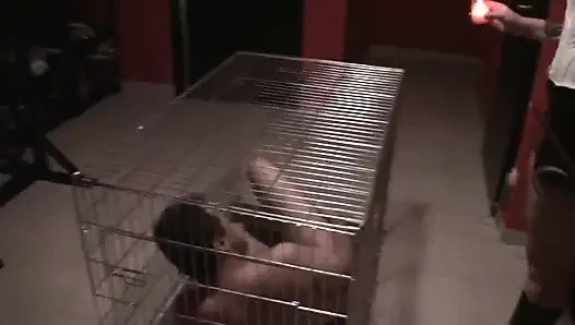 Her yerine dürtüldü ve tükürdü