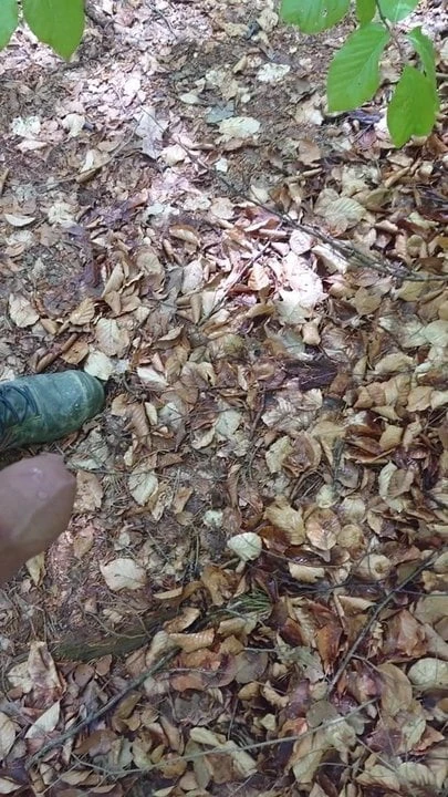 Draussen im Wald endlich pinkeln.