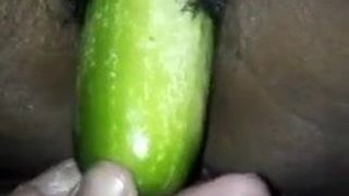 cucumber insert the pussy