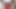 Maya baby insert brinjal in pussy. Brinjal sex video nepali girl masturbating