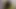 New kitten is on the block - teaser video
