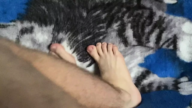 My feet’s and cut blanket so cute