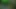 devant un voyeur dans les bois