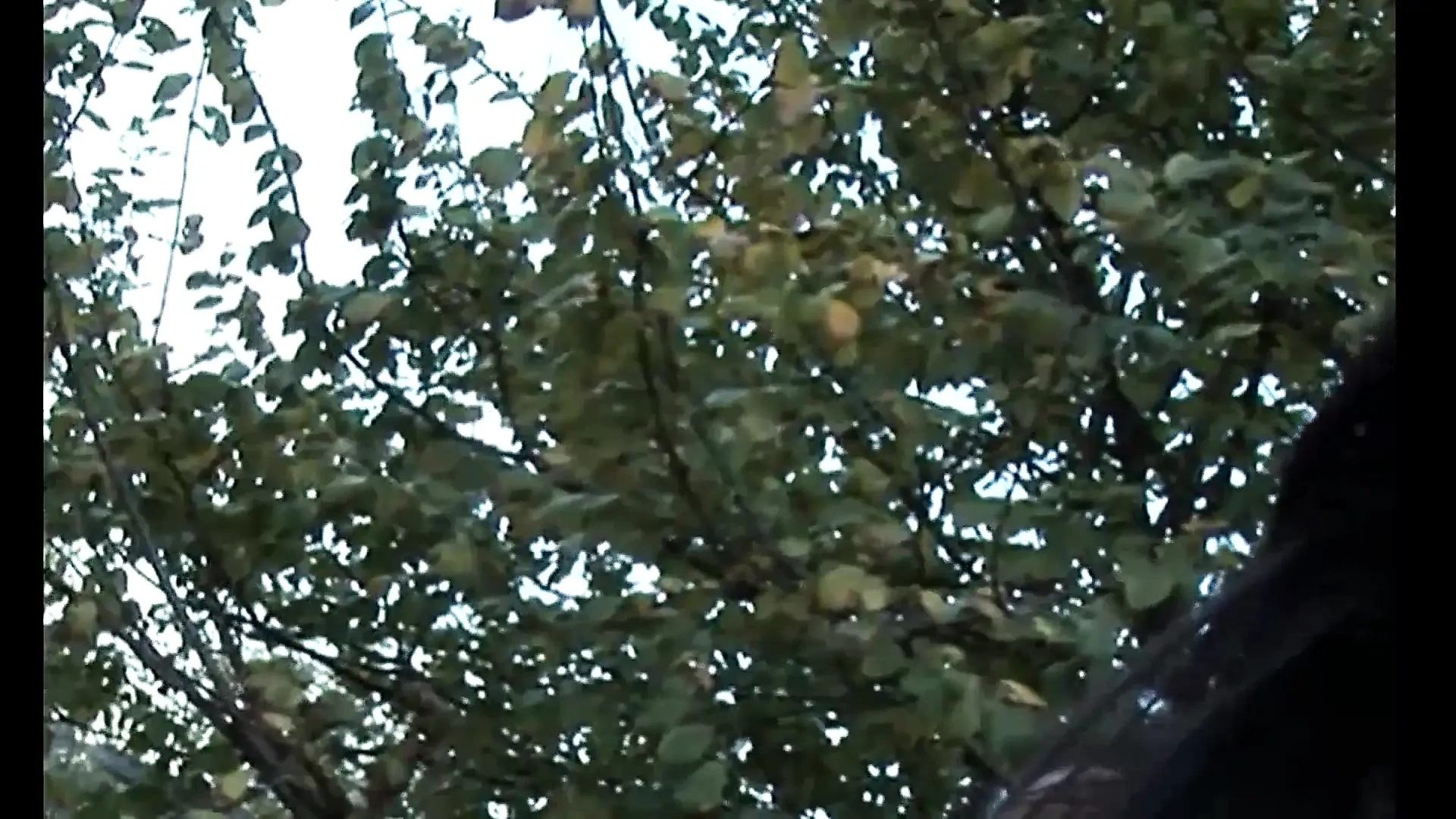 Wonderful Brunette MILF with Perfect Tits Masturbates in the Car Then Gets Fucked and Cummed in Her Mouth by a Big Cock