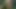 Loving Stepmom Seduce Big Dick 18yo Stepson While Husband is Away Getting a Snack - Family Forest Picnic - XXX Simulator