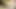 Giving Me Orgasam Beautiful Girl Gave Me Handjob