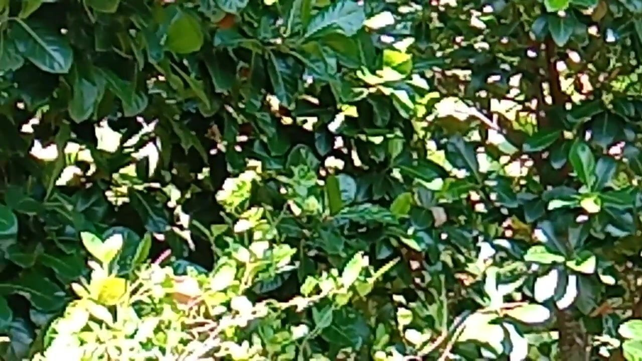 Out Door