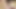 大きな濡れた胸を持つホットな日本人女性のアニメーション、信じられないほどのディープスロートと乳房フェックが射精へと導く