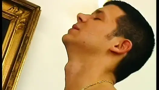 Stunning brunette in sexy stockings sucks cock and gets plowed