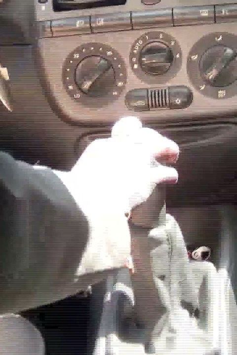 Sensual Treat of Shift Stick in Black Pumps with Sexy Metal Heels