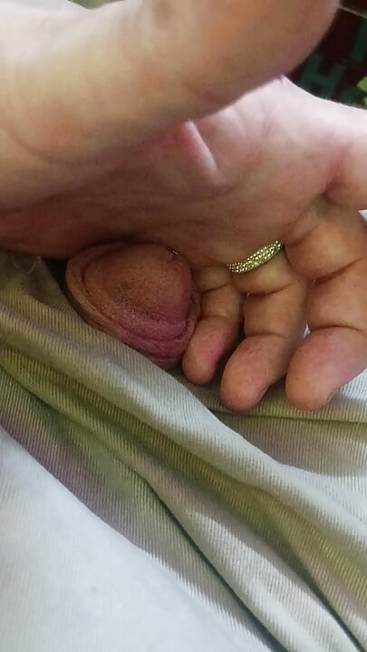Piss Pig Fag boy