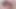 Spring Throat Blowjob From Slut Jam _ Nigonika Best Porn 2023