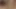 Kısa saçlı pinay kızımı sikiyorum ve her tarz porno ile birlikte sevişiyorum