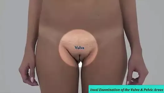 Real Female Anatomy - Visual Examination of the Vulva 1