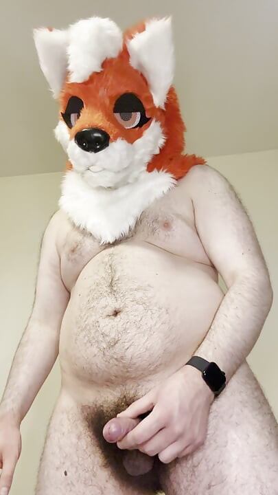 furry fox nuts for tanuki hehe