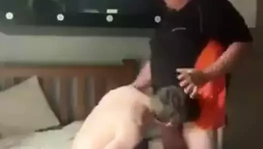 Maduro e novinho