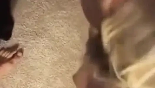Aldatılan orta yaşlı seksi kadın - aldatan evli kadın