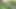 Bts - Sasha Pearl flörtöz bir fotoğraf çekimi sırasında sürtük bir görünüm model ediyor!