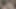 Hintli üniversiteli kız ve sevgilisi seks yapıyor