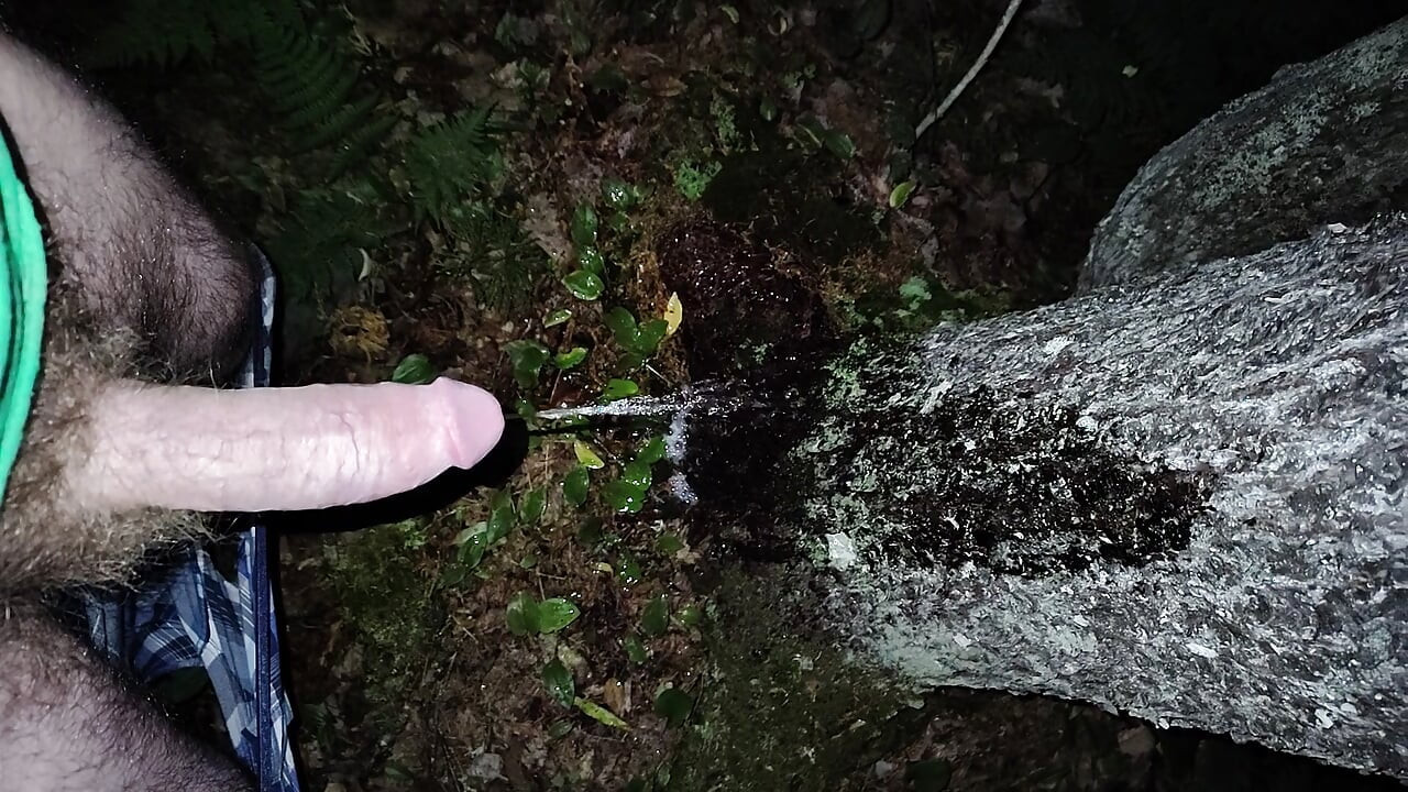 Morning Piss in the Adirondacks