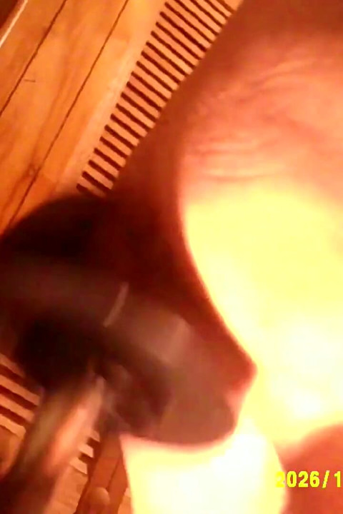 Cam机器日合集视频
