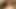 dani daniels polite love with boyfriend