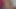 ハニー・プッシー・ステップシスター