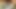 Pee outdoors, risky toilet  in the forest 4K