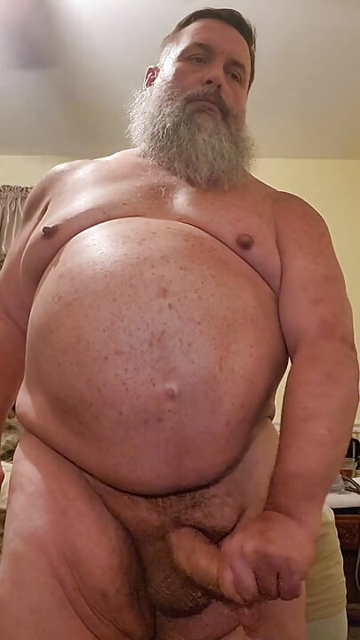 Bearded Bear Morning Bate Time
