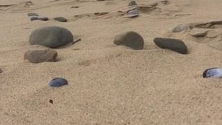 Нудистский пляж Whiteford Sands, часть 2