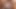 Mona lee ırklararası gangbanged tarafından groupsexgames