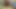 Gay slut sucks cock and swallows cum on a sunday in April