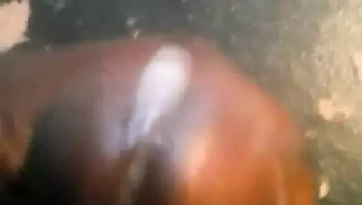 let me cum in your mature white pussy