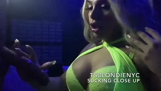 emme asılı horoz yakın çekim