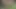 Rubbing my dick at a tree in the woods with bare feet