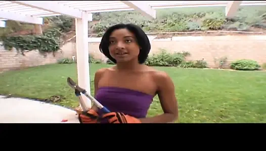 The Improvised Giardiniera