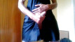 Pregled videozapisa
