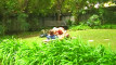 Pregled videozapisa