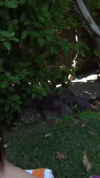 Thrilling moment from "Horny sluts have lick session naked on the lawn outdoors"