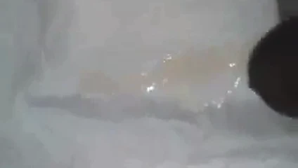 Boşalma