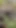 Seksi latin üvey kız kardeşler ateşli üçlü grup sekste büyük yarağa biniyor | Klip 1