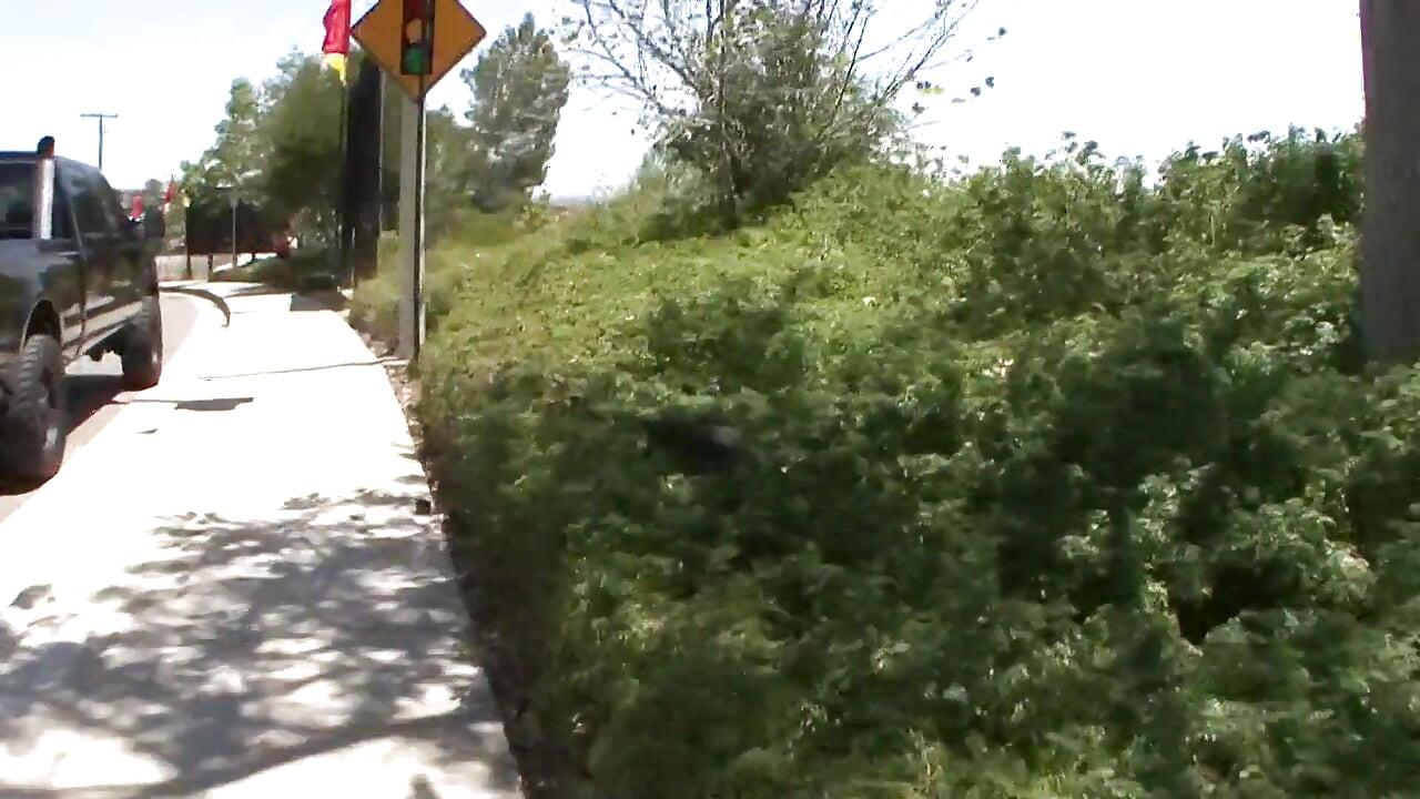 Strong ravished cooter of lustfull teen camel toe looks fine full of yoghurt