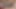 オタクのファンタジー