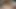 Big Mamas Ninfo macht sein erstes Amateurvideo