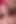 Tombul genç Daniella Margot büyük götlü orta yaşlı seksi kadın angel wicky ile sert üçlü grup seks