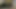 Hairy kommt 2 mal lecker für dich!
