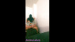 Pratinjau video