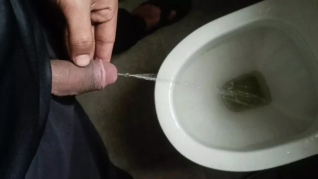 Desi gay in Public washroom toilet fun