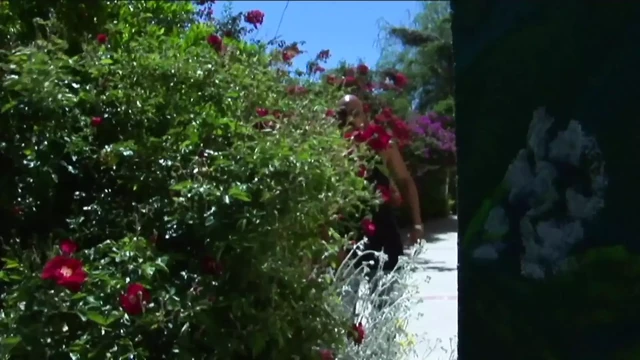 Interracial sex with Katja Kassin and Courtney Cummz are