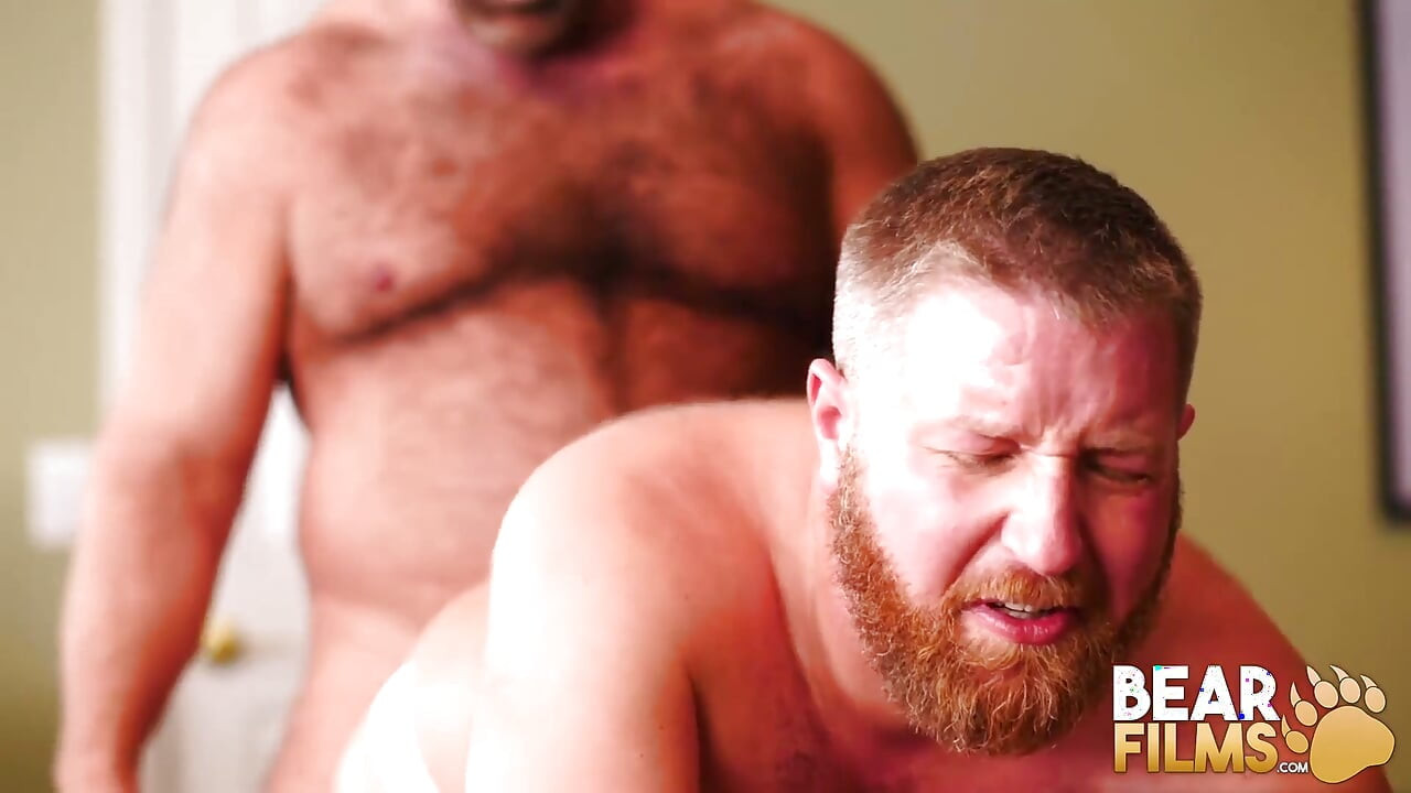 BEARFILMS - Bear Brad Kalvo raw Breeds Hairy gay Ronan Delaney